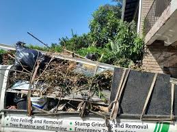 Best Moving and Downsizing Cleanouts  in Edinburg, IL